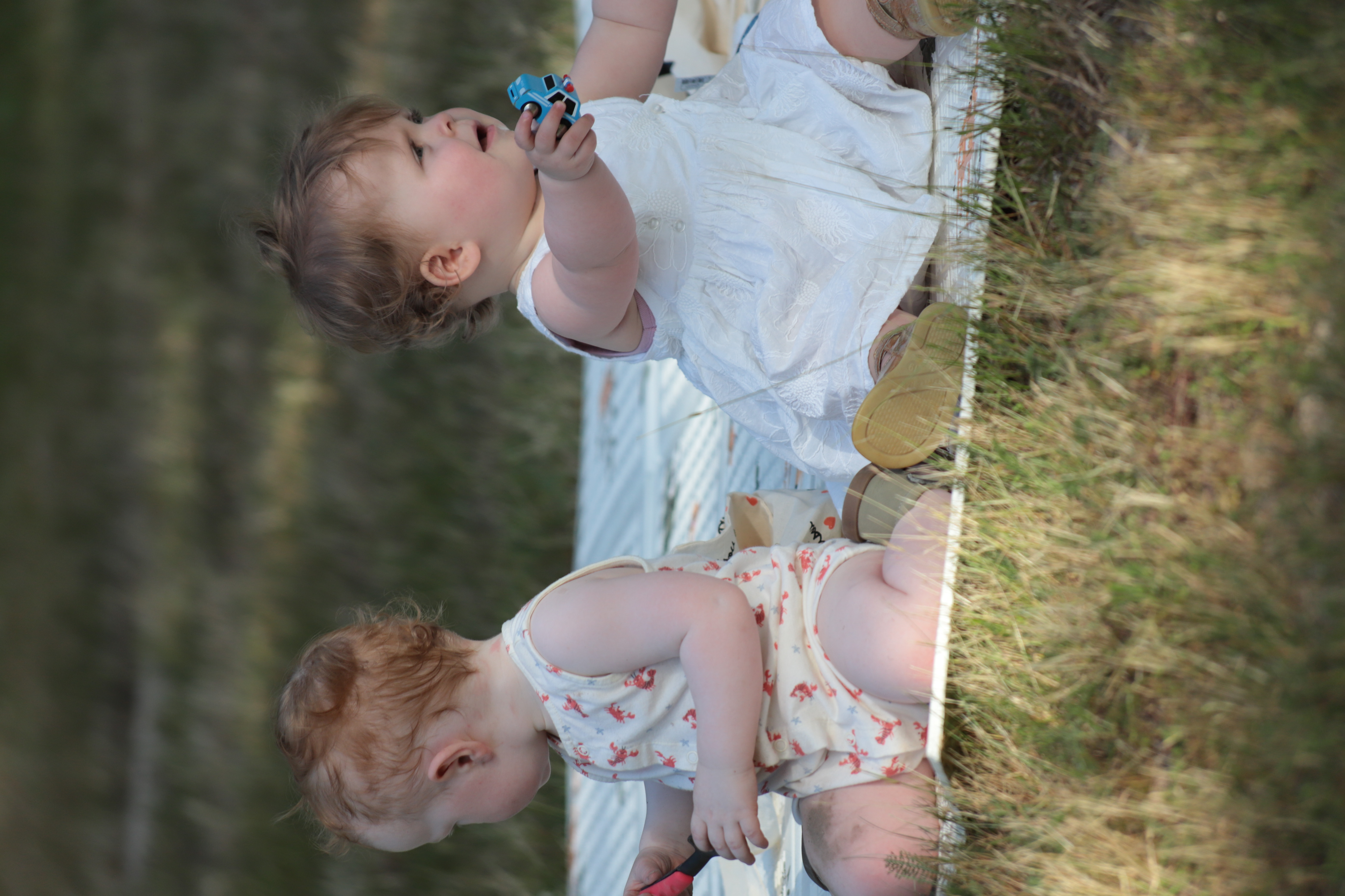 photo_6a41611e106c6